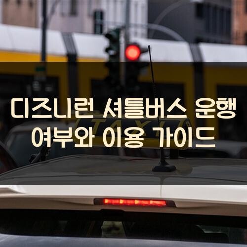 디즈니런 셔틀버스 운행 여부와 이용 가이드