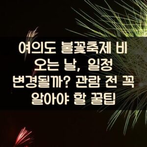 여의도 불꽃축제 비 오는 날, 일정 변경될까? 관람 전 꼭 알아야 할 꿀팁 여의도 불꽃축제 비 오는 날, 일정 변경될까? 관람 전 꼭 알아야 할 꿀팁