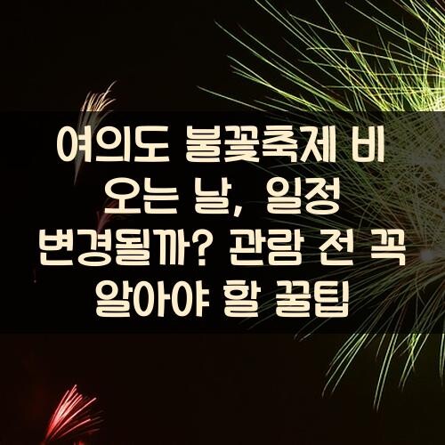 여의도 불꽃축제 비 오는 날, 일정 변경될까? 관람 전 꼭 알아야 할 꿀팁