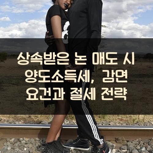 상속받은 논 매도 시 양도소득세, 감면 요건과 절세 전략