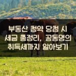 부동산 청약 당첨 시 세금 총정리, 공동명의 취득세까지 알아보기