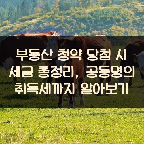 부동산 청약 당첨 시 세금 총정리, 공동명의 취득세까지 알아보기
