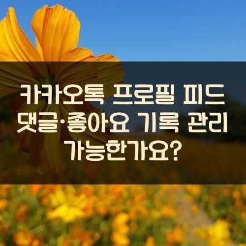 카카오톡 프로필 피드 댓글·좋아요 기록 관리 가능한가요?