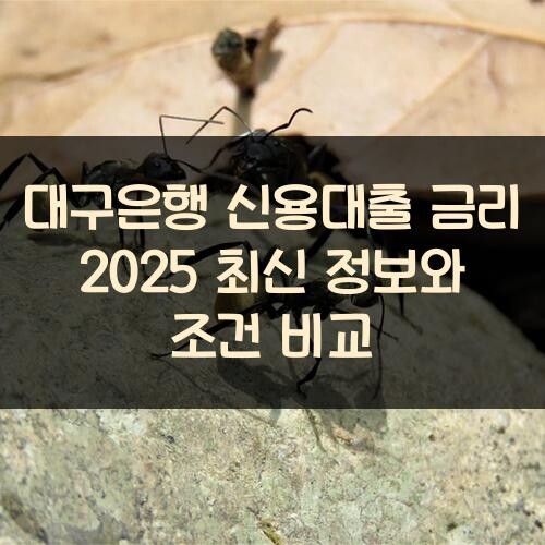 대구은행 신용대출 금리 2025 최신 정보와 조건 비교