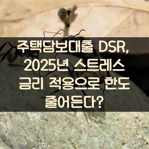 주택담보대출 DSR, 2025년 스트레스 금리 적용으로 한도 줄어든다?