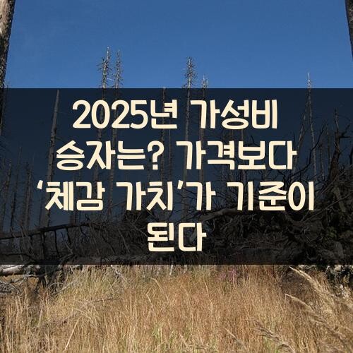 2025년 가성비 승자는? 가격보다 ‘체감 가치’가 기준이 된다