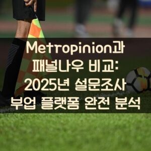 Metropinion과 패널나우 비교: 2025년 설문조사 부업 플랫폼 완전 분석