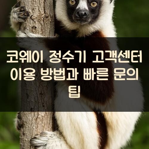 코웨이 정수기 고객센터 이용 방법과 빠른 문의 팁