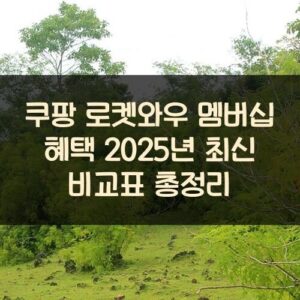 쿠팡 로켓와우 멤버십 혜택 2025년 최신 비교표 총정리 쿠팡 로켓와우 멤버십 혜택 2025년 최신 비교표 총정리