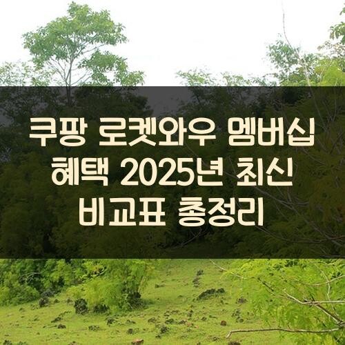 쿠팡 로켓와우 멤버십 혜택 2025년 최신 비교표 총정리