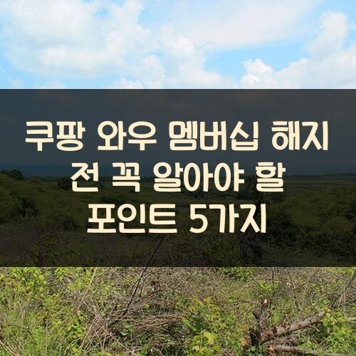 쿠팡 와우 멤버십 해지 전 꼭 알아야 할 포인트 5가지