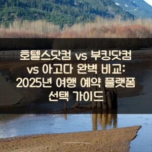 호텔스닷컴 vs 부킹닷컴 vs 아고다 완벽 비교: 2025년 여행 예약 플랫폼 선택 가이드 호텔스닷컴 vs 부킹닷컴 vs 아고다 완벽 비교: 2025년 여행 예약 플랫폼 선택 가이드