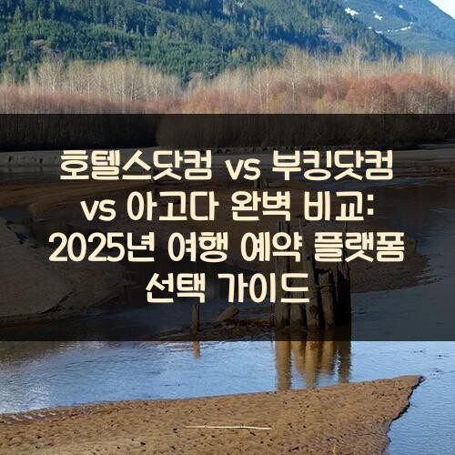 호텔스닷컴 vs 부킹닷컴 vs 아고다 완벽 비교: 2025년 여행 예약 플랫폼 선택 가이드