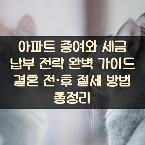 아파트 증여와 세금 납부 전략 완벽 가이드 결혼 전·후 절세 방법 총정리