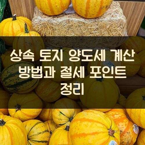 상속 토지 양도세 계산 방법과 절세 포인트 정리