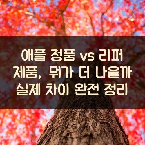 애플 정품 vs 리퍼 제품, 뭐가 더 나을까? 실제 차이 완전 정리