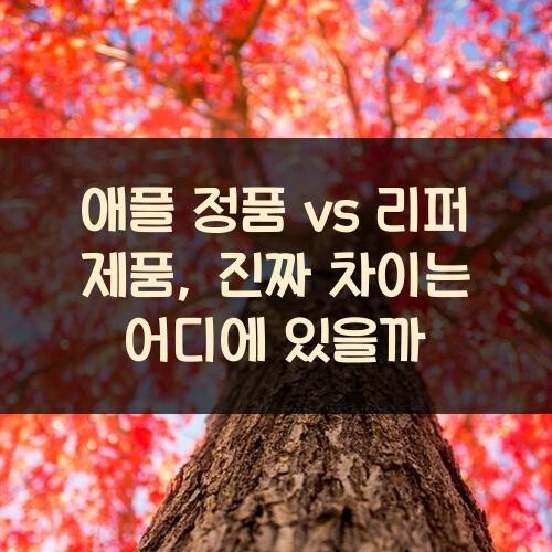 애플 정품 vs 리퍼 제품, 진짜 차이는 어디에 있을까?