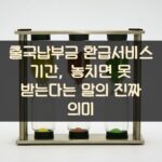출국납부금 환급서비스 기간, 놓치면 못 받는다는 말의 진짜 의미
