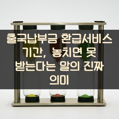 출국납부금 환급서비스 기간, 놓치면 못 받는다는 말의 진짜 의미