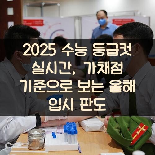 2025 수능 등급컷 실시간, 가채점 기준으로 보는 올해 입시 판도