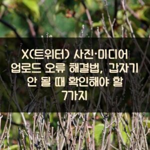 X(트위터) 사진·미디어 업로드 오류 해결법, 갑자기 안 될 때 확인해야 할 7가지 X(트위터) 사진·미디어 업로드 오류 해결법, 갑자기 안 될 때 확인해야 할 7가지