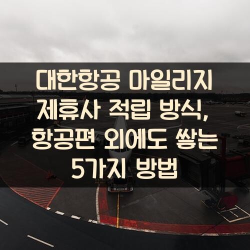 대한항공 마일리지 제휴사 적립 방식, 항공편 외에도 쌓는 5가지 방법