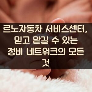 르노자동차 서비스센터, 믿고 맡길 수 있는 정비 네트워크의 모든 것 르노자동차 서비스센터, 믿고 맡길 수 있는 정비 네트워크의 모든 것