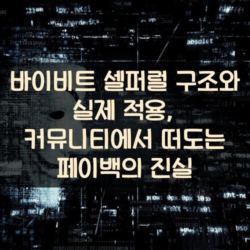 바이비트 셀퍼럴 구조와 실제 적용, 커뮤니티에서 떠도는 페이백의 진실