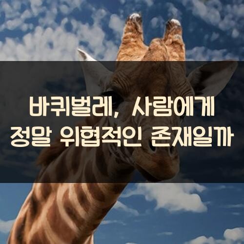 바퀴벌레, 사람에게 정말 위협적인 존재일까?