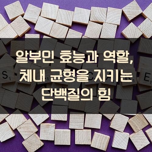 알부민 효능과 역할, 체내 균형을 지키는 단백질의 힘