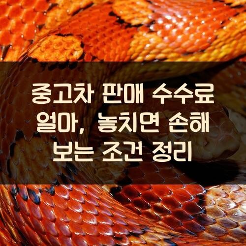 중고차 판매 수수료 얼마, 놓치면 손해 보는 조건 정리