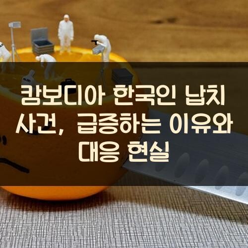 캄보디아 한국인 납치 사건, 급증하는 이유와 대응 현실