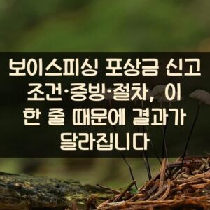 보이스피싱 포상금 신고 조건·증빙·절차, 이 한 줄 때문에 결과가 달라집니다 보이스피싱 포상금 신고 조건·증빙·절차, 이 한 줄 때문에 결과가 달라집니다