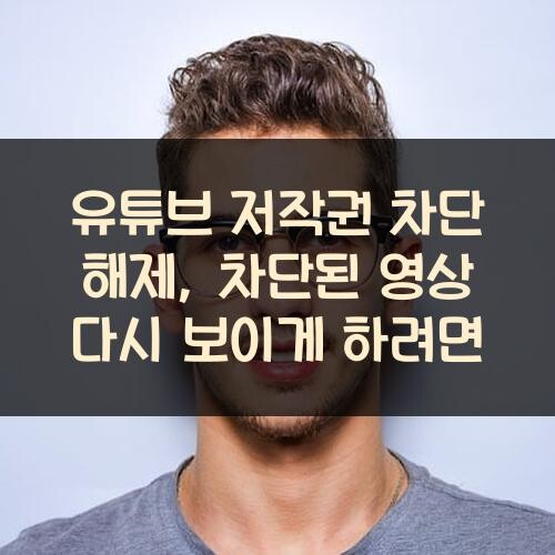 유튜브 저작권 차단 해제, 차단된 영상 다시 보이게 하려면?