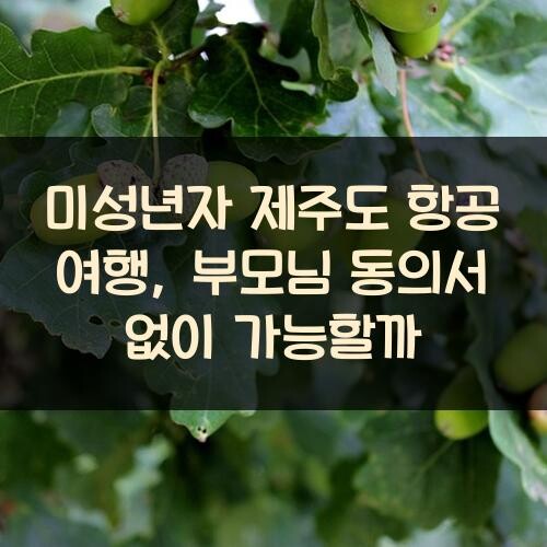 미성년자 제주도 항공 여행, 부모님 동의서 없이 가능할까?