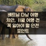 베트남 다낭 여행 치안, 11월 여행 전 꼭 알아야 할 안전 포인트