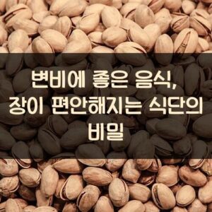 변비에 좋은 음식, 장이 편안해지는 식단의 비밀 변비에 좋은 음식, 장이 편안해지는 식단의 비밀
