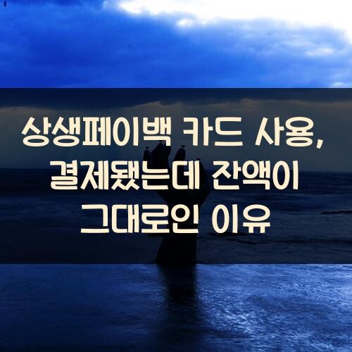 상생페이백 카드 사용, 결제됐는데 잔액이 그대로인 이유