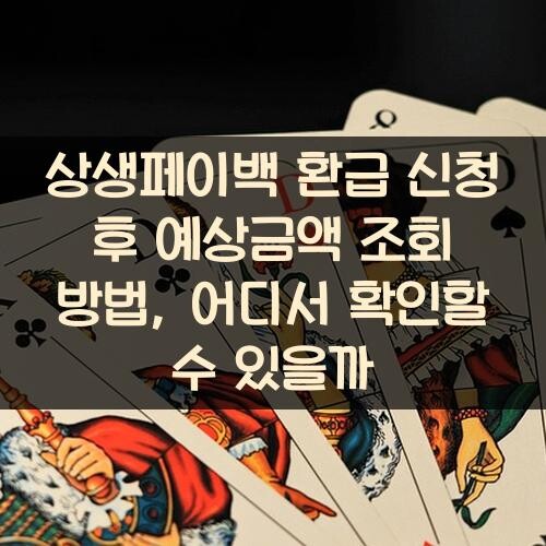 상생페이백 환급 신청 후 예상금액 조회 방법, 어디서 확인할 수 있을까?