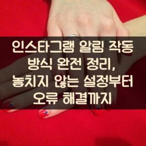 인스타그램 알림 작동 방식 완전 정리, 놓치지 않는 설정부터 오류 해결까지 인스타그램 알림 작동 방식 완전 정리, 놓치지 않는 설정부터 오류 해결까지