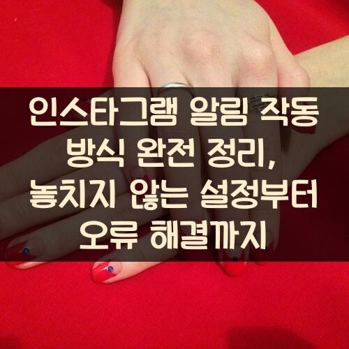 인스타그램 알림 작동 방식 완전 정리, 놓치지 않는 설정부터 오류 해결까지