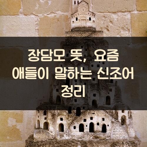 장담모 뜻, 요즘 애들이 말하는 신조어 정리