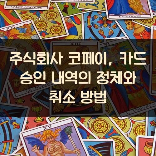 주식회사 코페이, 카드 승인 내역의 정체와 취소 방법