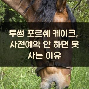 투썸 포르쉐 케이크, 사전예약 안 하면 못 사는 이유 투썸 포르쉐 케이크, 사전예약 안 하면 못 사는 이유