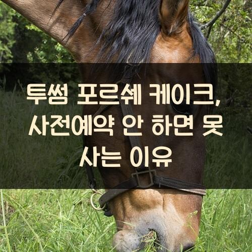 투썸 포르쉐 케이크, 사전예약 안 하면 못 사는 이유