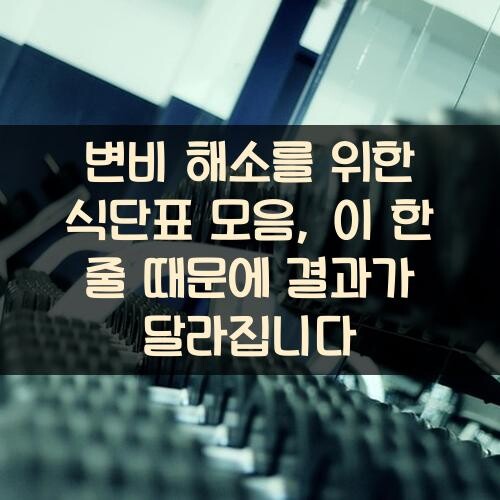 변비 해소를 위한 식단표 모음, 이 한 줄 때문에 결과가 달라집니다