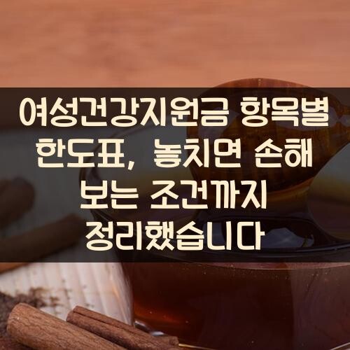 여성건강지원금 항목별 한도표, 놓치면 손해 보는 조건까지 정리했습니다