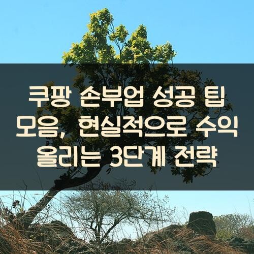 쿠팡 손부업 성공 팁 모음, 현실적으로 수익 올리는 3단계 전략