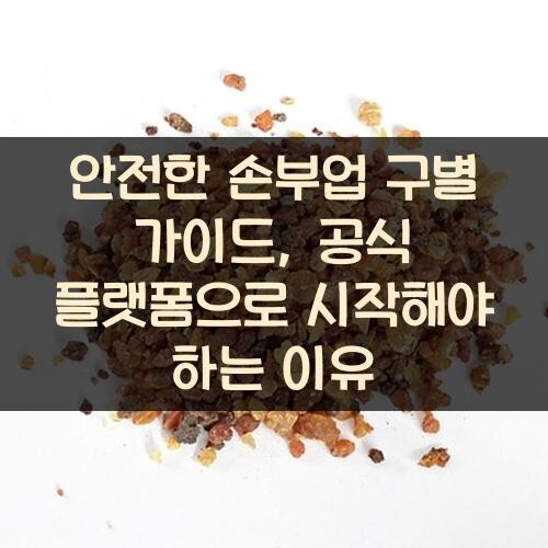 안전한 손부업 구별 가이드, 공식 플랫폼으로 시작해야 하는 이유