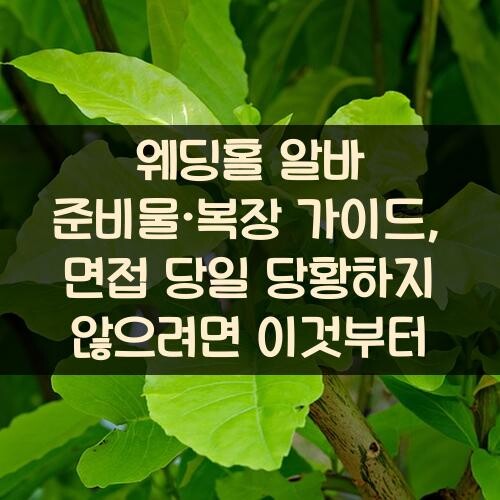 웨딩홀 알바 준비물·복장 가이드, 면접 당일 당황하지 않으려면 이것부터